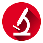 d'Katia Software Technologies,kochi,kerala,India